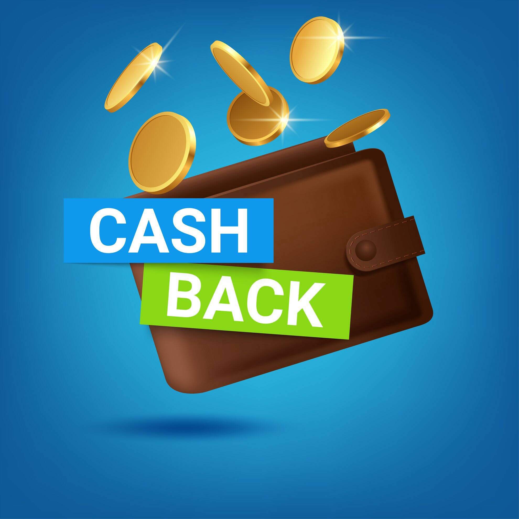 Vetor de uma carteiras e moedas do programa cashback